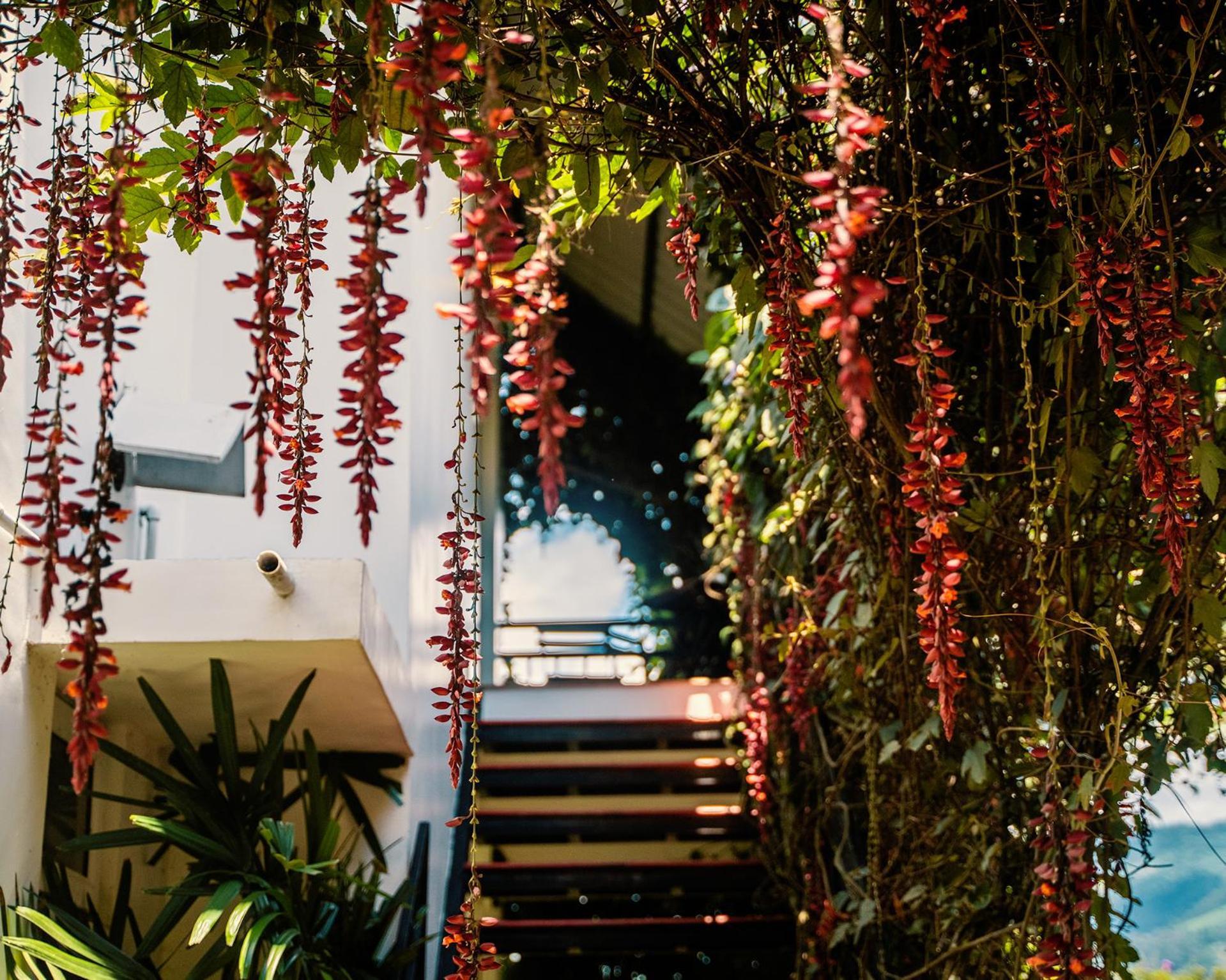Hotel The Leaf Munnar Exterior foto